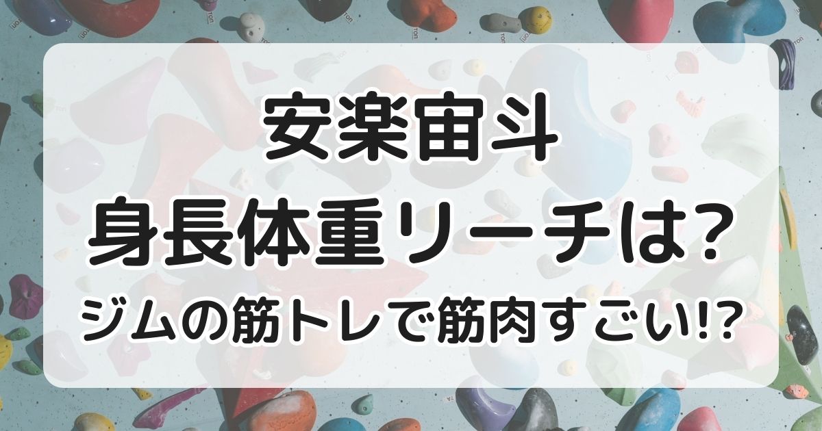 安楽宙斗身長体重リーチは？ジムでの筋トレで筋肉がすごい？